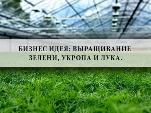 Бизнес идея по отходам, как найти скидки по оаго и макаруны в домашних условиях Бизнес идея по отходам
