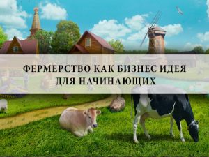 Фермерство,бизнес,идея